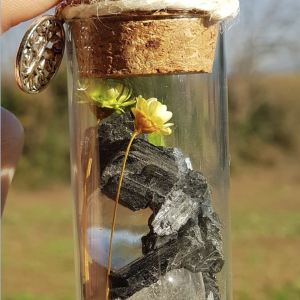 Jardín de Protección